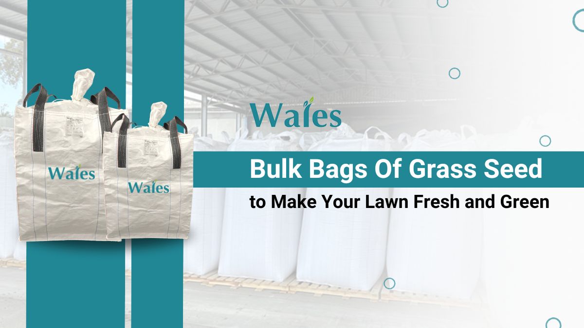 bulk bags of grass seed