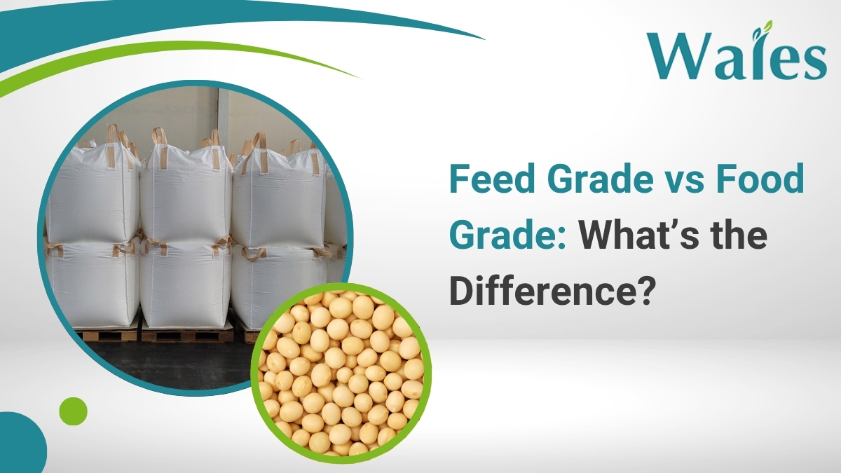 food grade fibc bag, food grade fibc,food grade bulk bags,food grade bulk bags manufacturer in australia , food grade fibc bulk bags